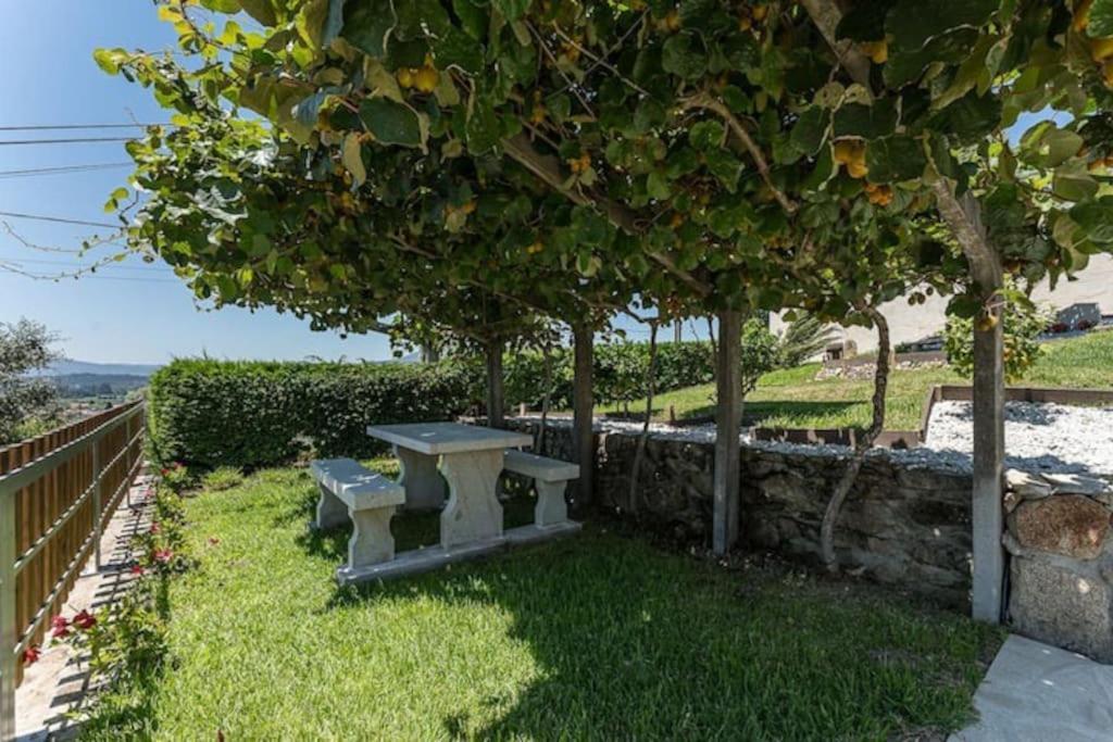 Fernandes Guest House Sunshine Studio Ponte de Lima Exterior foto